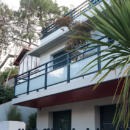 Nacre-Opale-palmier-scaled